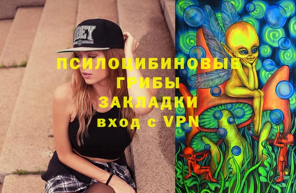 стаф Алексин
