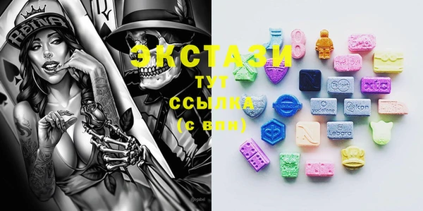 стаф Алексин