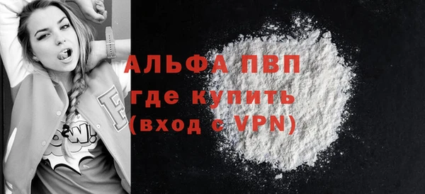 стаф Алексин