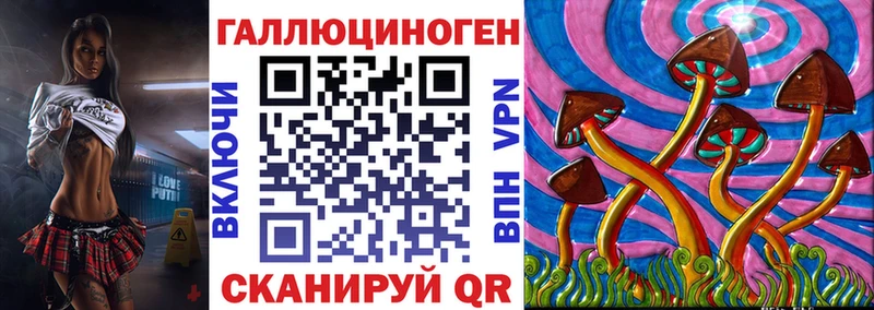 Псилоцибиновые грибы Cubensis  Венёв 
