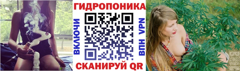 Канабис OG Kush  Венёв 